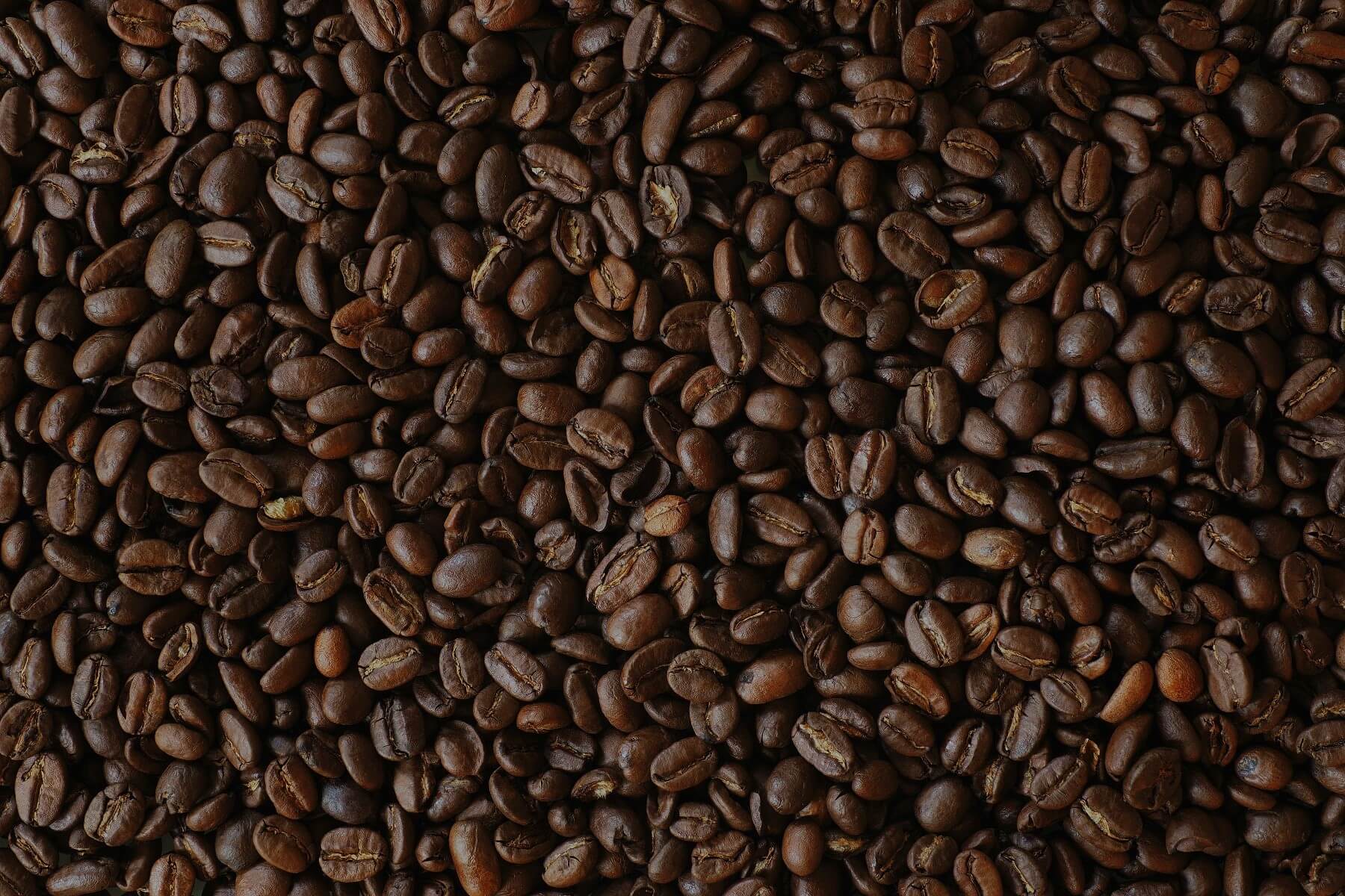 Roasted coffee beans close up