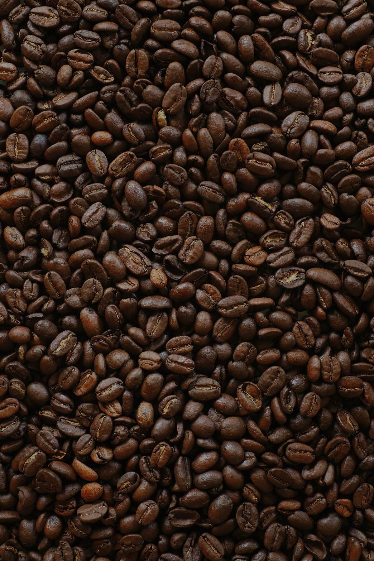 roasted coffee beans